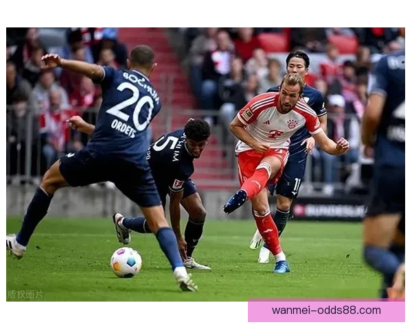 队友塞古拉盛赞孙兴慜与队友关系融洽并成为球队核心